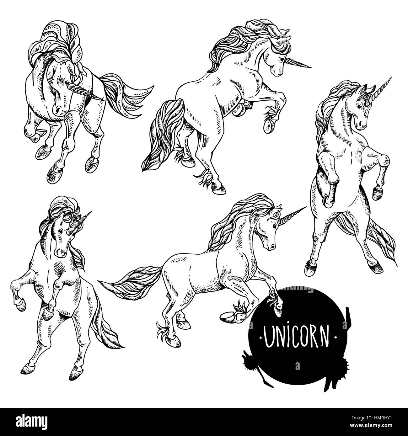 Hand drawn black and white set of unicorn, Vector vintage design elements, outline drawing