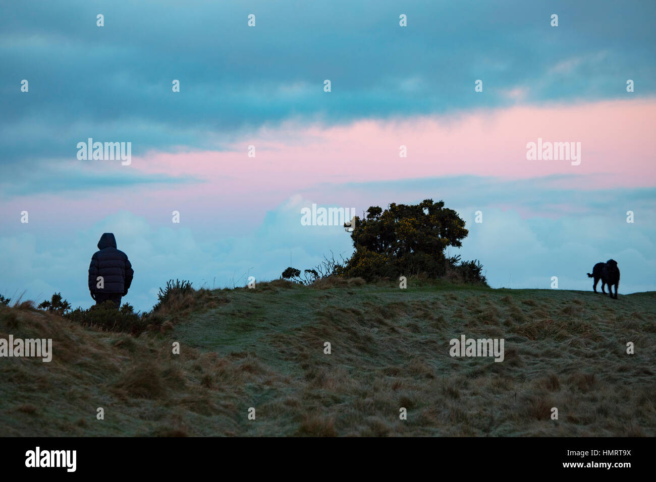 A dog walker taking his dog for a walk in rural Flintshire in below