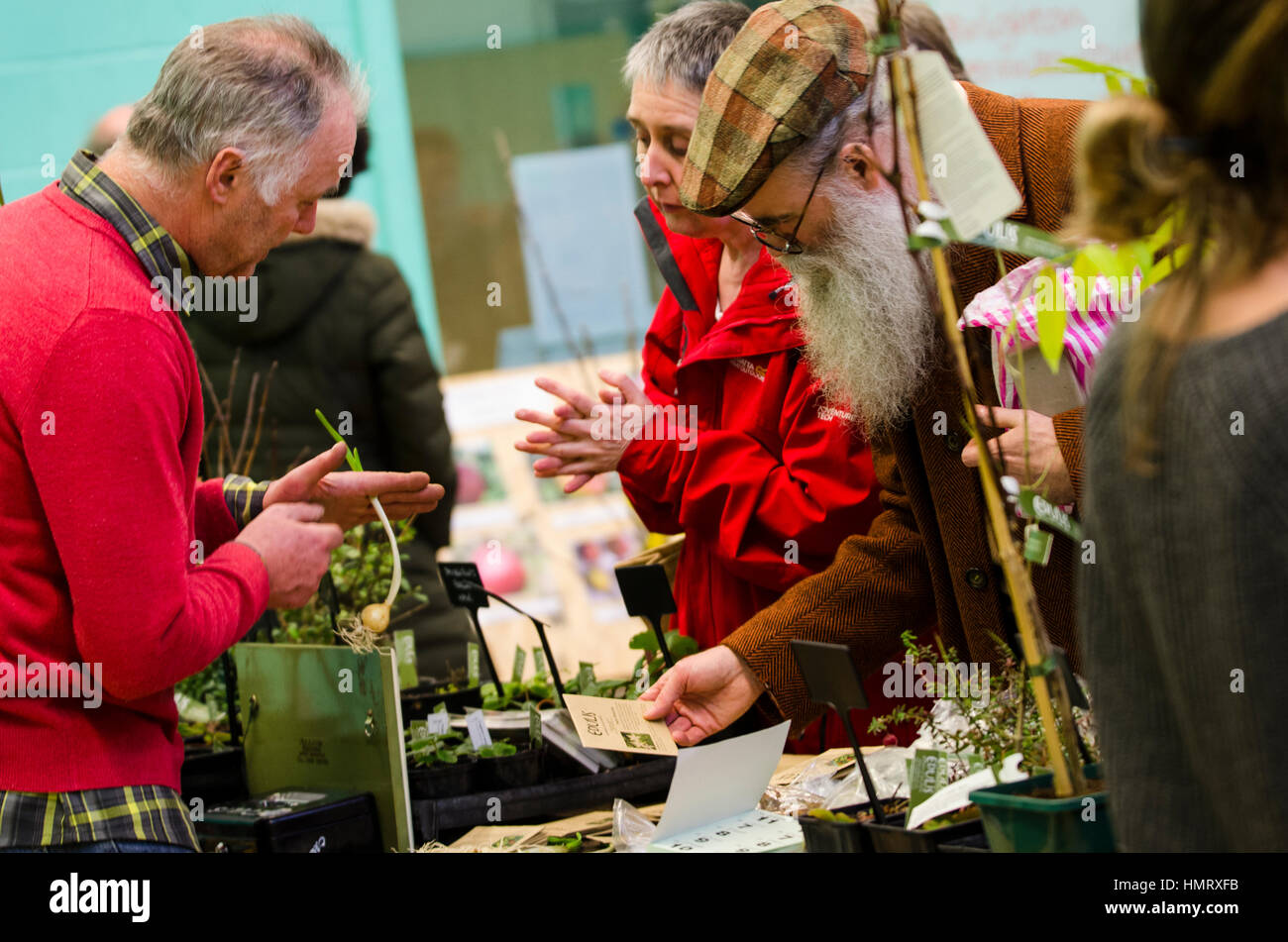 Brighton, East Sussex. 5th February 2017. Seedy Sunday, the UK’s biggest and longest-running community seed swap event takes place each year on the first Sunday in February. This year the event, sponsored by Infinity Foods, is taking place at Brighton, Hove and Sussex Sixth Form College (BHASVIC), with an extensive range of exhibitors and a lineup of speakers discussing seed history, science and politics. Credit: Francesca Moore/Alamy Live News Stock Photo