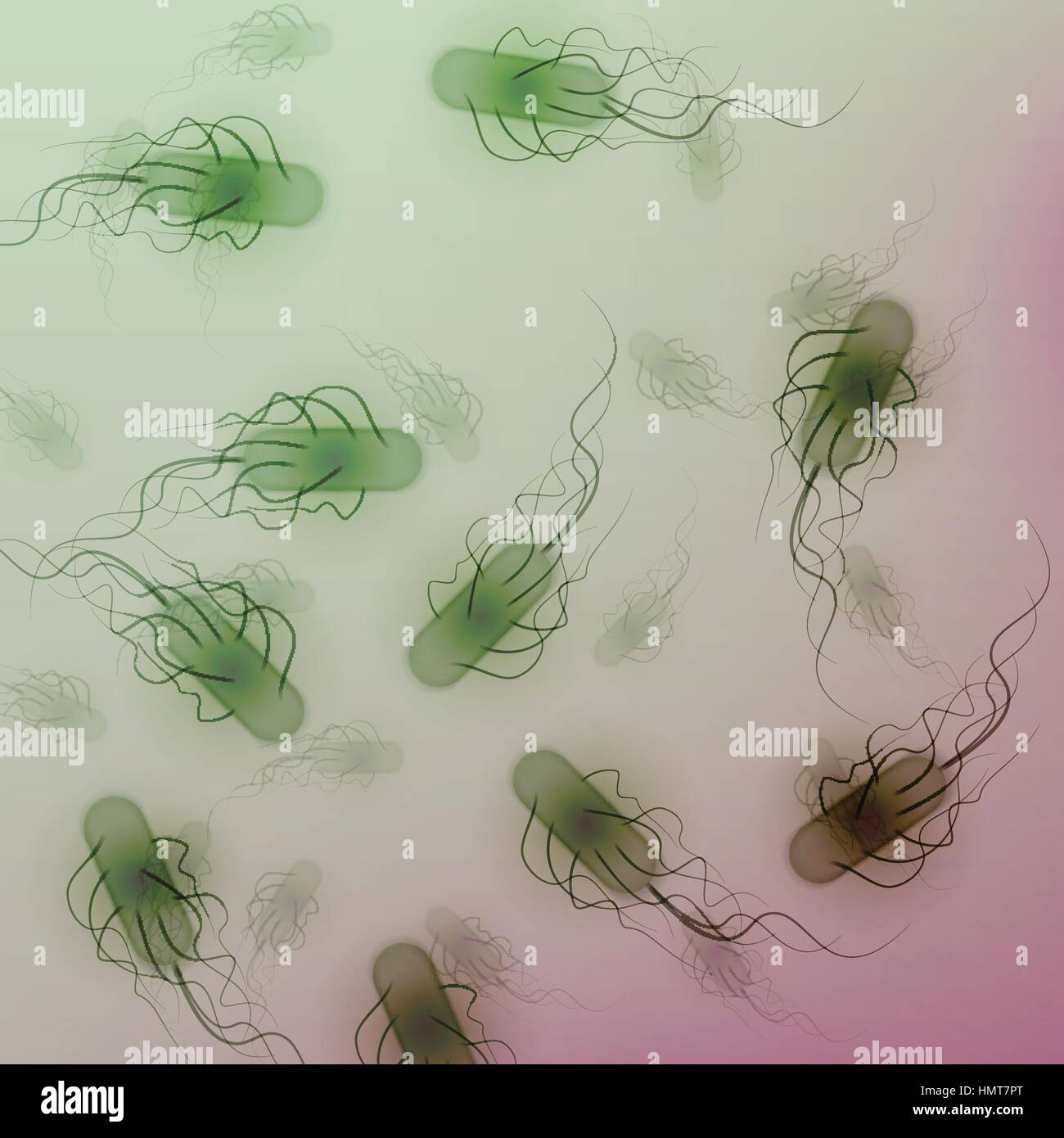 Group of E. coli Bacteria - Vector Illustration Stock Vector
