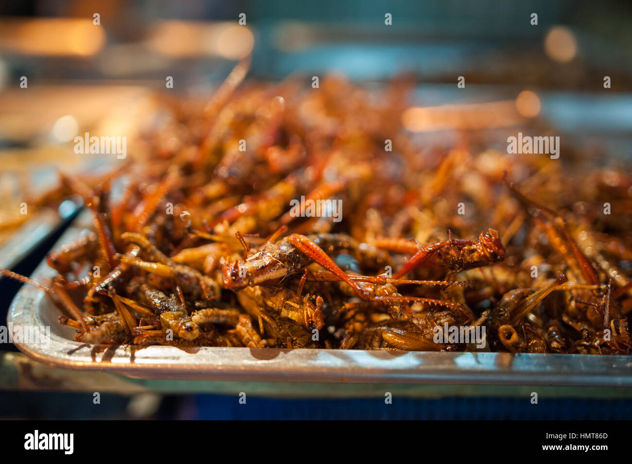 Worms and grasshoppers served as food in Bangkok, Thailand. Stock Photo