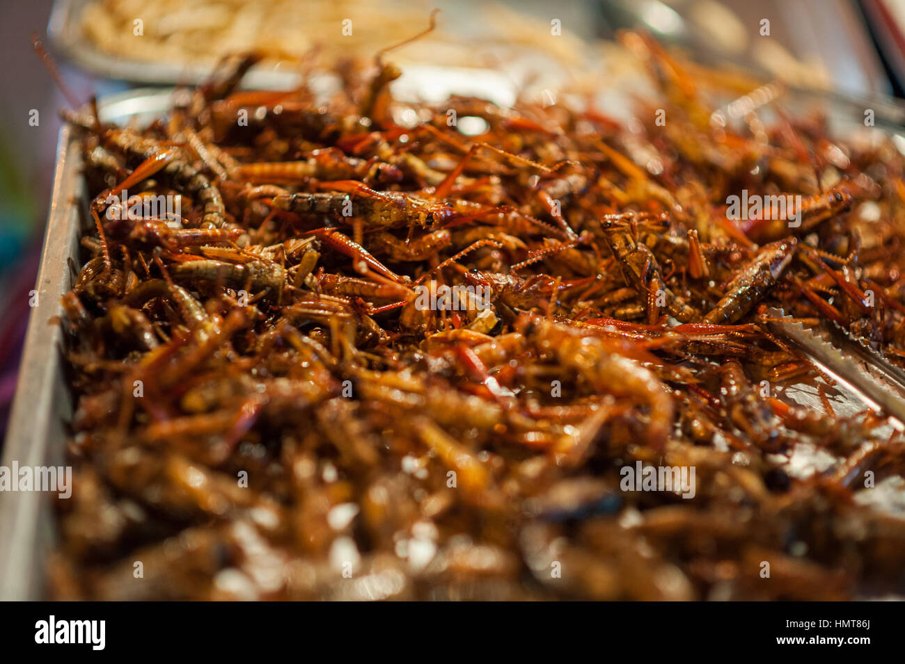 Worms and grasshoppers served as food in Bangkok, Thailand. Stock Photo