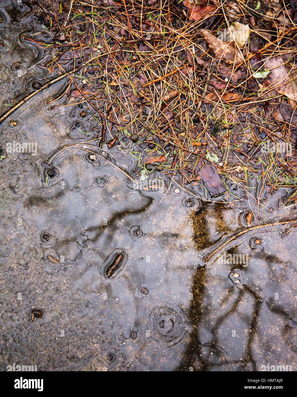 fall rain on cement drive with October debris Stock Photo Alamy