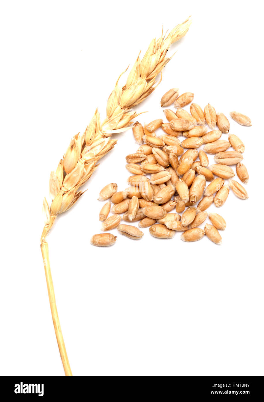 orange peel on white Stock Photo Alamy