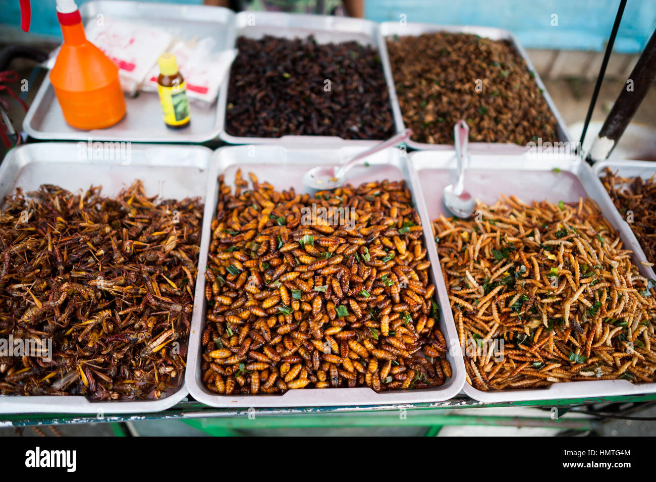 Worms and served as food in Bangkok, Thailand Stock Photo Alamy