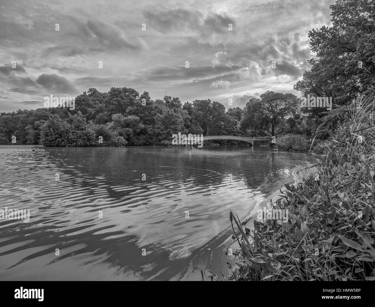 The Bow Bridge is a cast iron bridge located in Central Park, New York ...