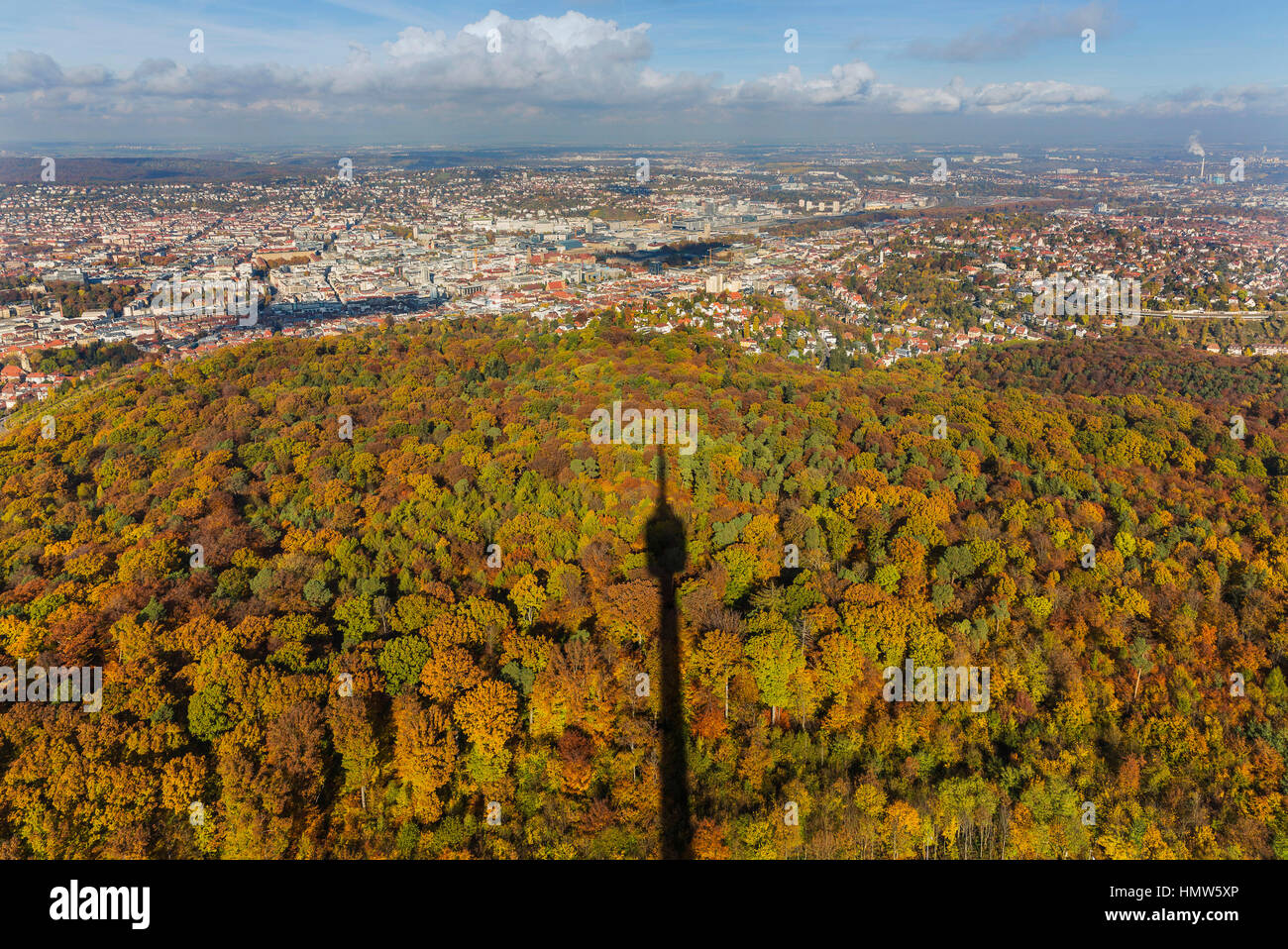 Shadows forest hi-res stock photography and images - Alamy