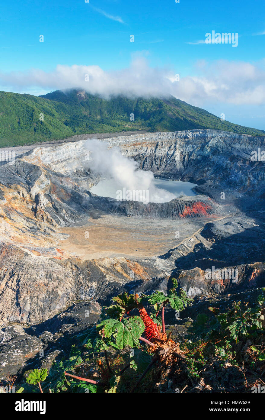 Caldera with crater lake, steam rising from Poas Volcano, Poas Volcano National Park, Costa Rica Stock Photo