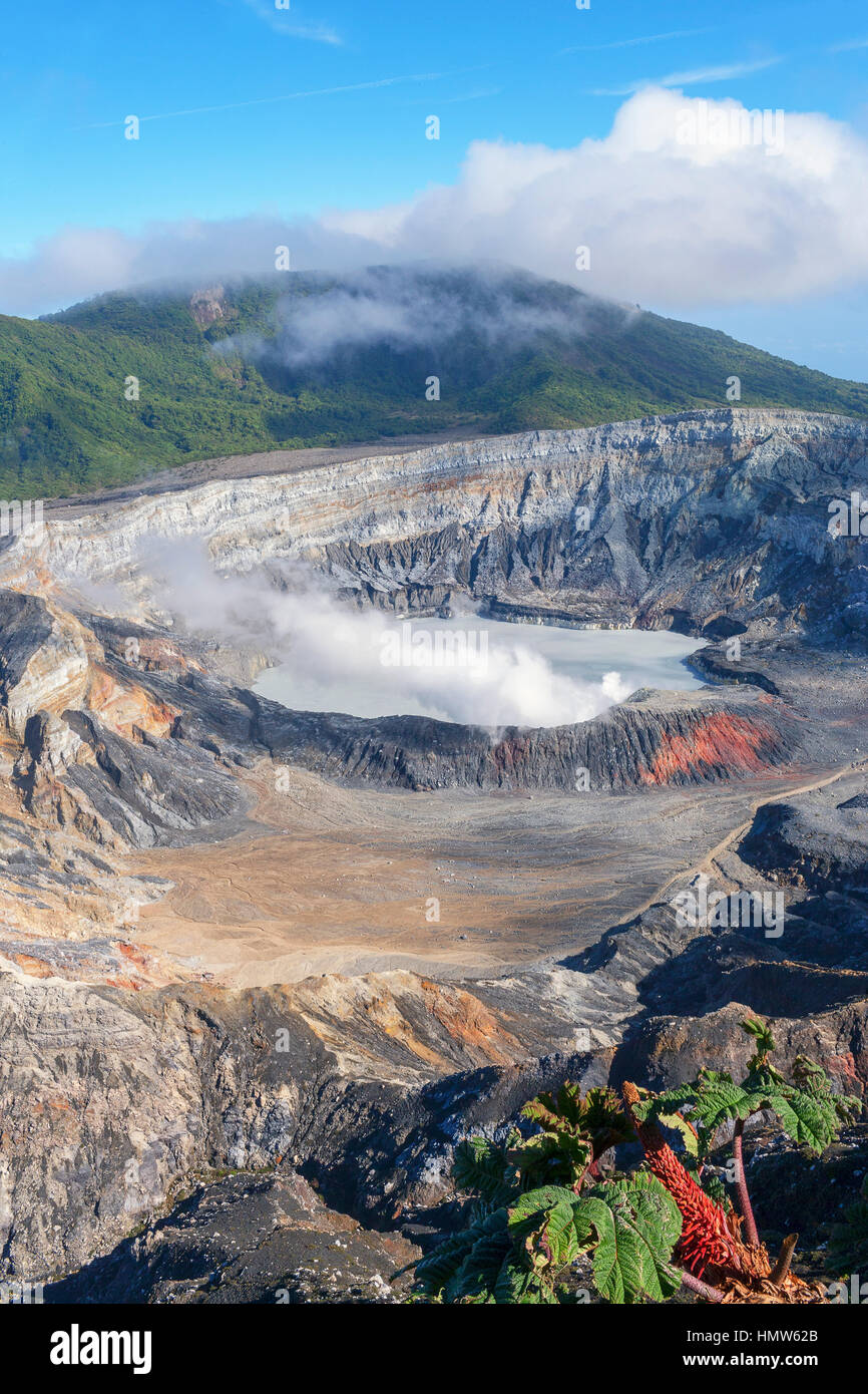 Caldera with crater lake, steam rising from Poas Volcano, Poas Volcano National Park, Costa Rica Stock Photo