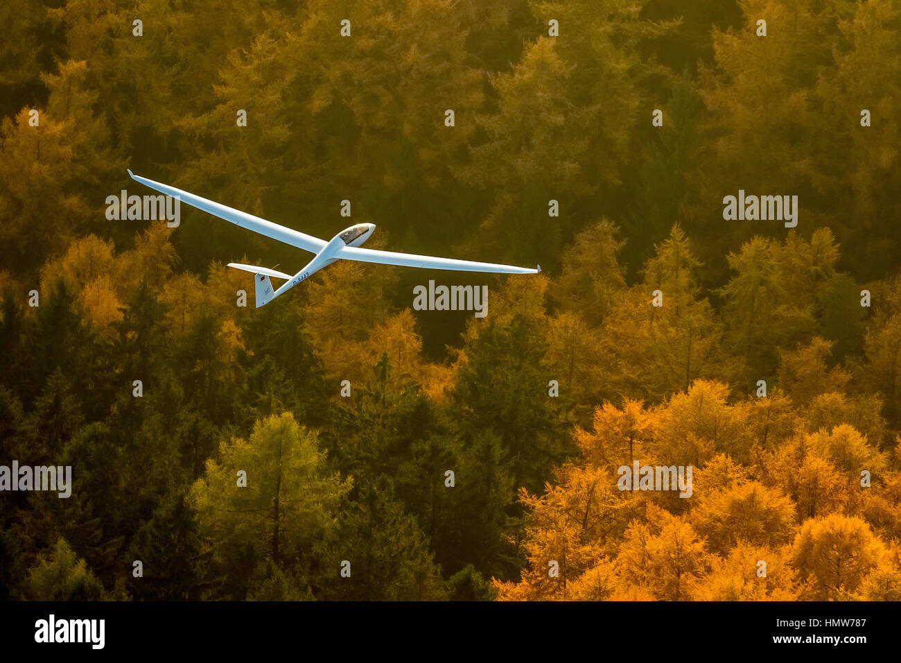 Glider, two-seater, Duo Discus D-5443 over autumn forest, near Arnsberg, Ruhr district, North Rhine-Westphalia, Germany Stock Photo