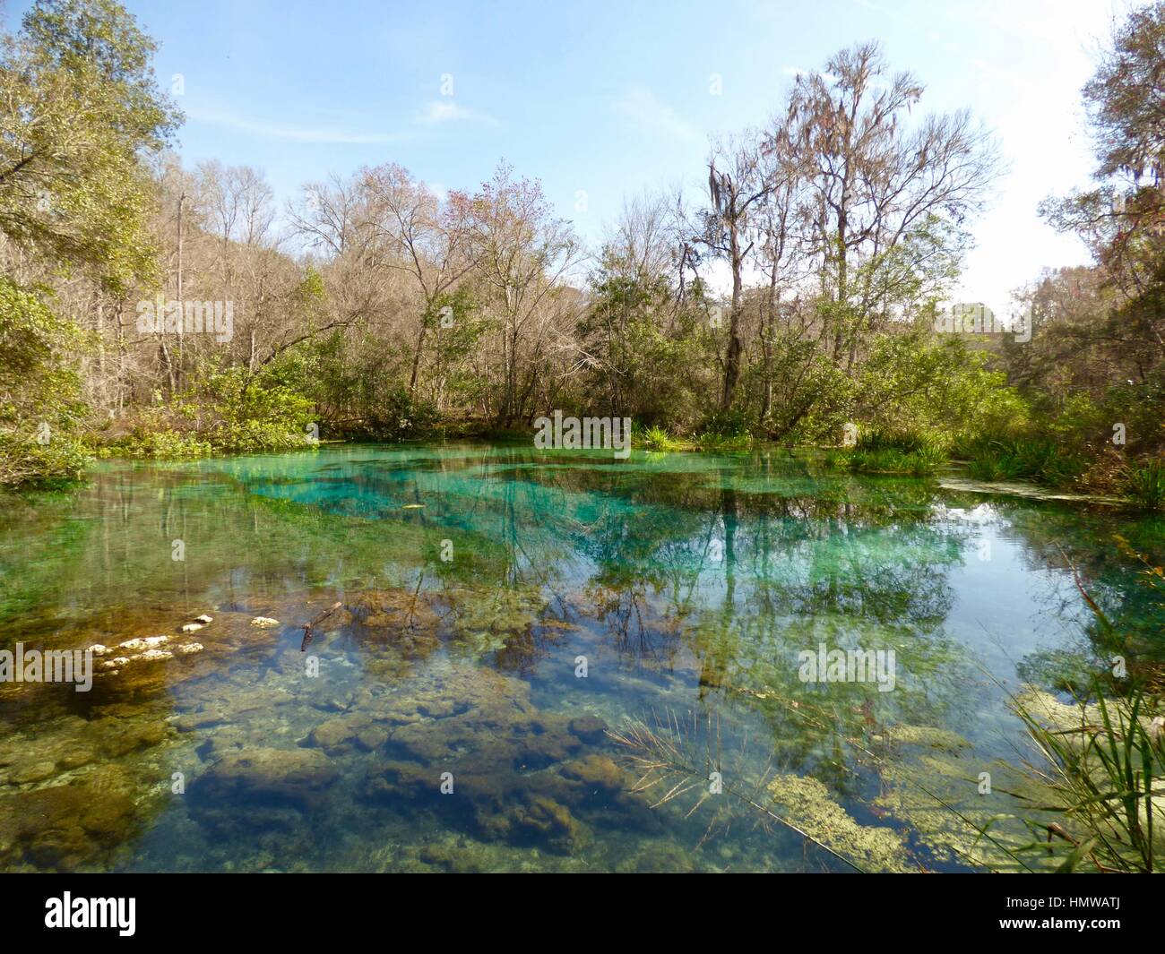 Headwaters of the Ichetucknee River in February. Ichetucknee Springs