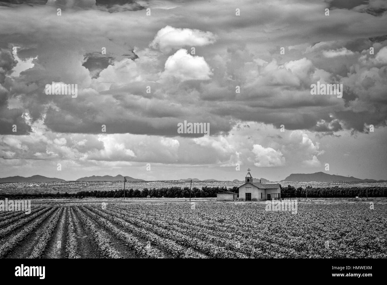 Crops growing in the field by La Isle Church near Fabens, Texas. Stock Photo