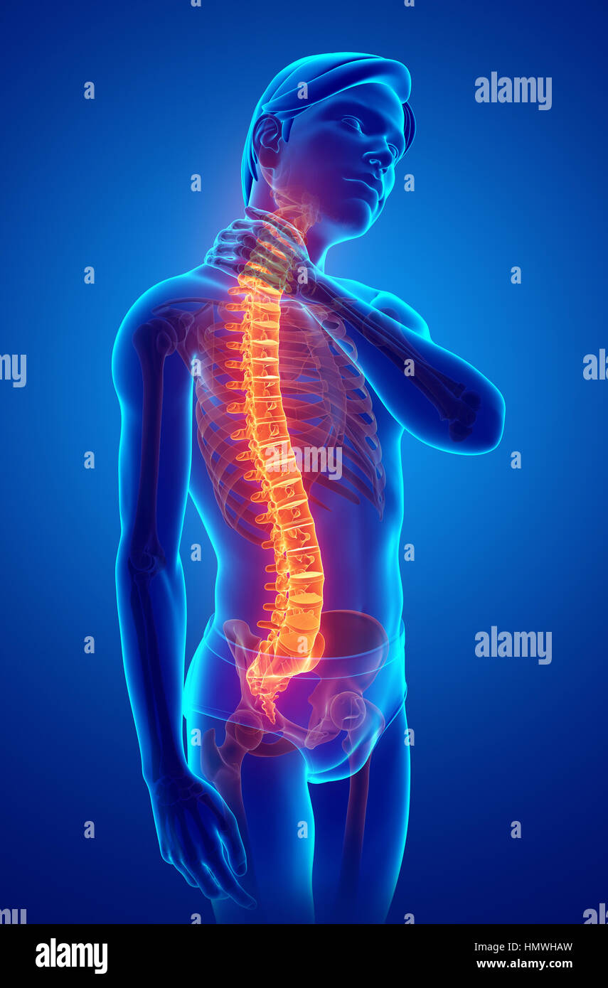 3D Illustration of male Feeling the back pain Stock Photo - Alamy