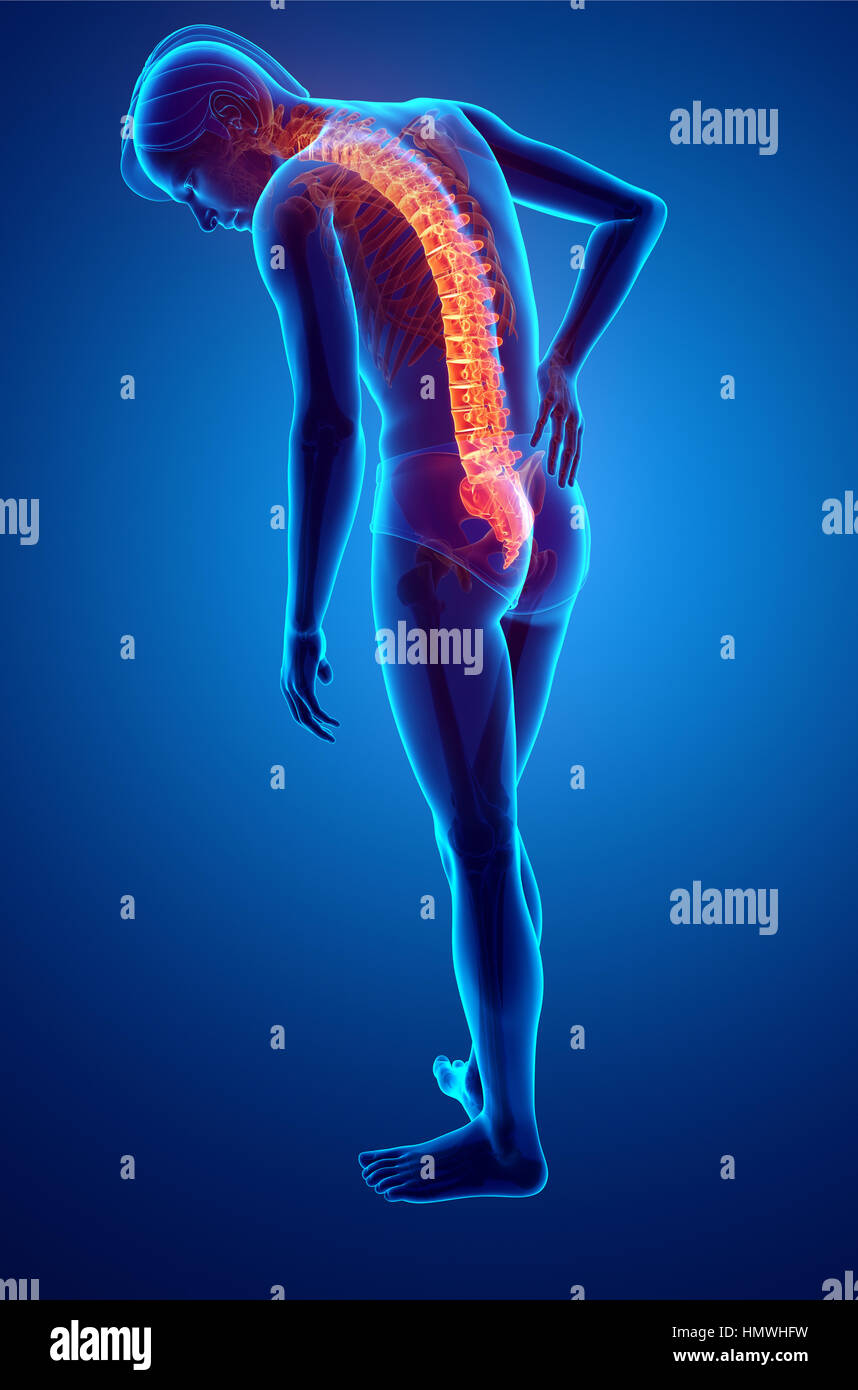 3D Illustration of male Feeling the back pain Stock Photo - Alamy