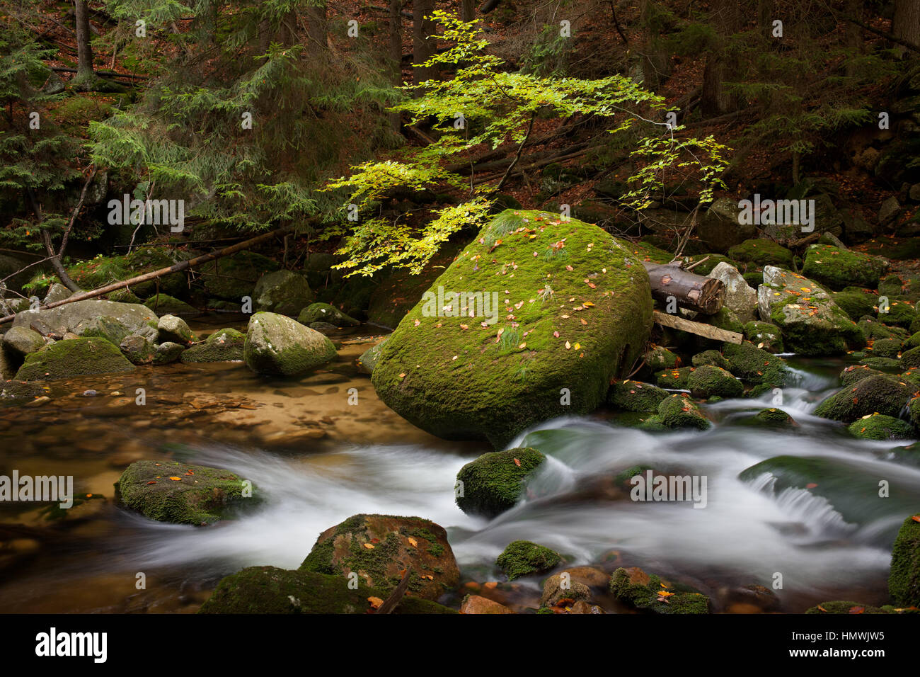 Forest stream by the mountain slope with mossy boulder and rocks Stock Photo