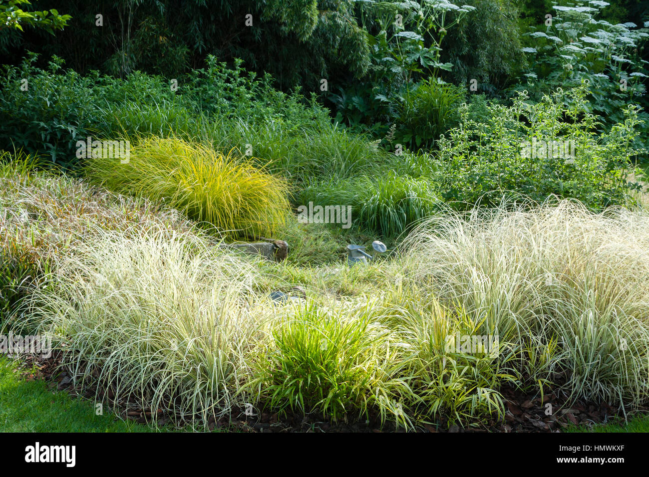 Bed of grasses in spring, Jardins du pays d'Auge, Normandy, France Stock Photo