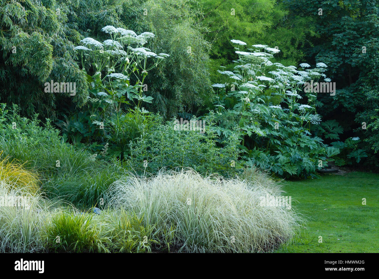 Bed of grasses in spring, Jardins du pays d'Auge, Normandy, France Stock Photo