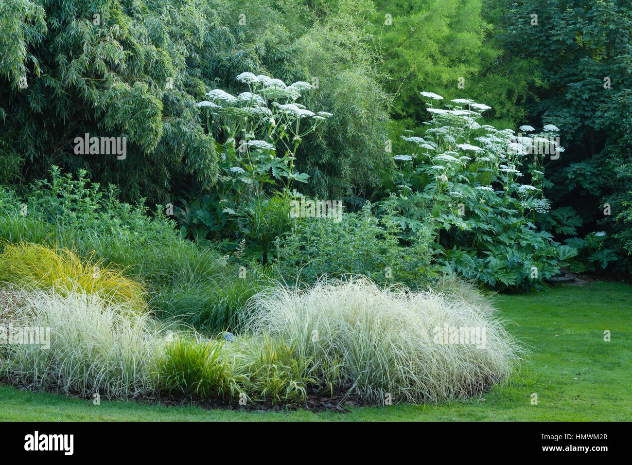 Bed of grasses in spring, Jardins du pays d'Auge, Normandy, France Stock Photo