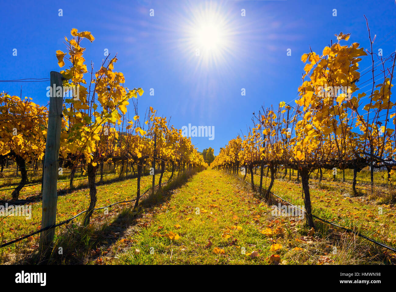 Adelaide hills hires stock photography and images Alamy
