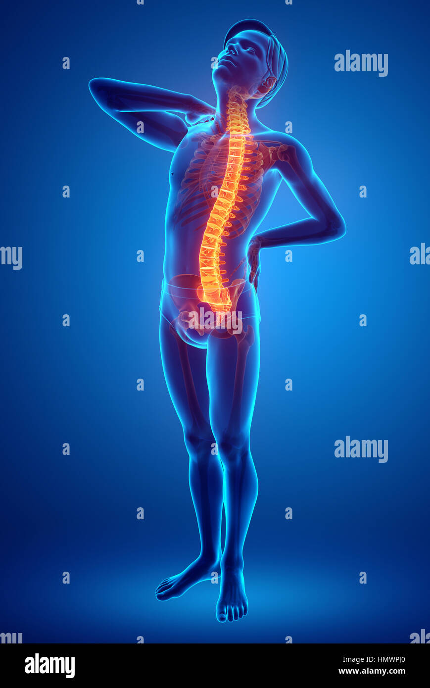 3D Illustration of male Feeling the back pain Stock Photo - Alamy