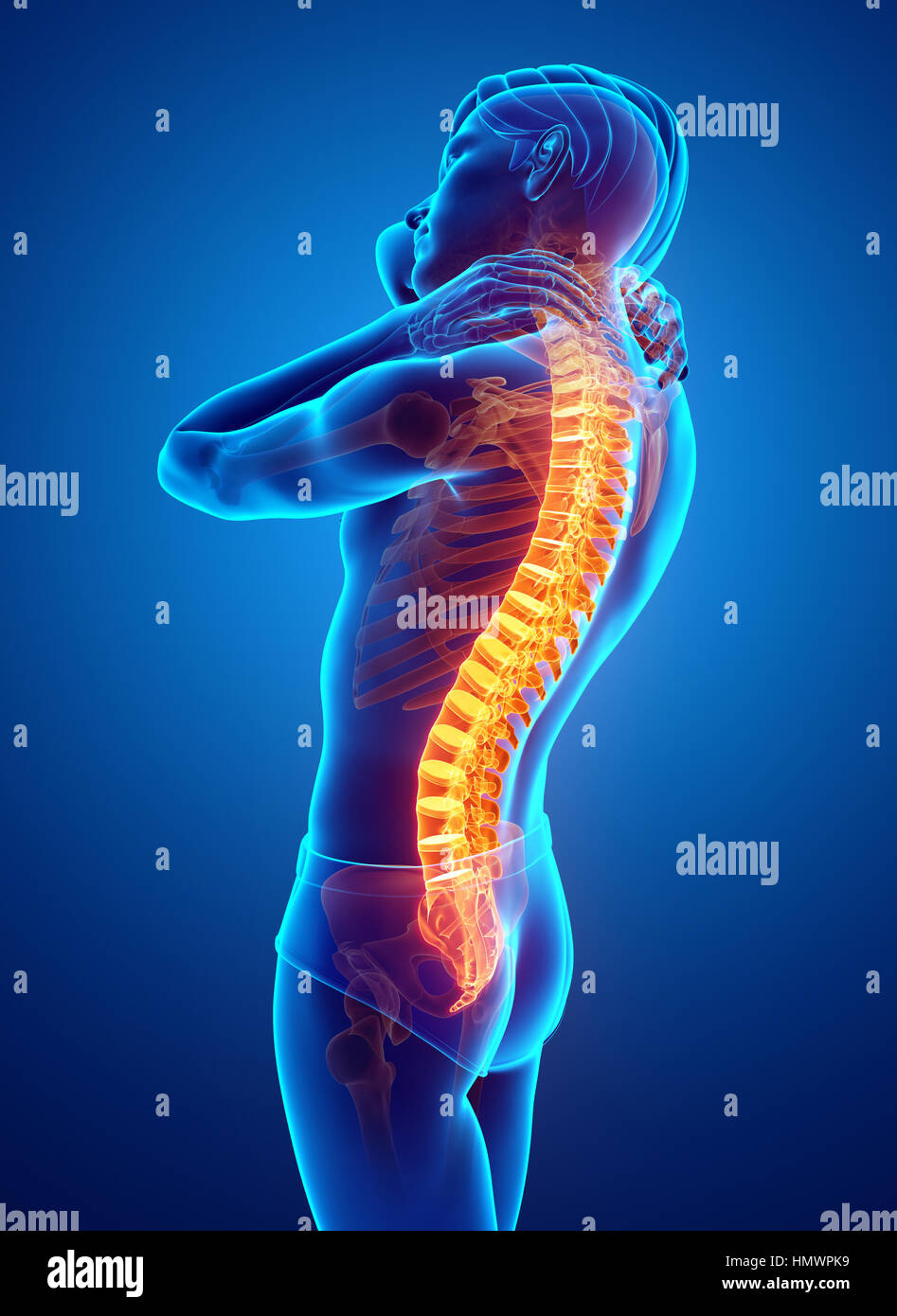 3D Illustration of male Feeling the back pain Stock Photo - Alamy