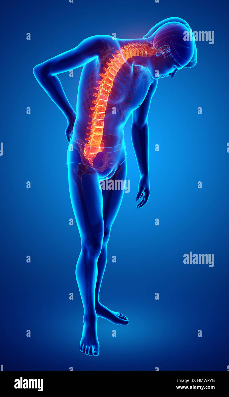3D Illustration of male Feeling the back pain Stock Photo - Alamy