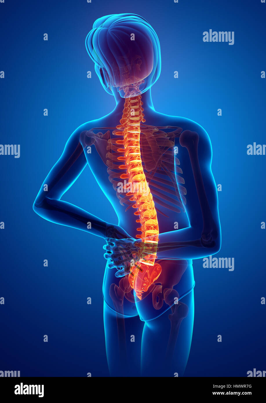 3D Illustration of male Feeling the back pain Stock Photo - Alamy