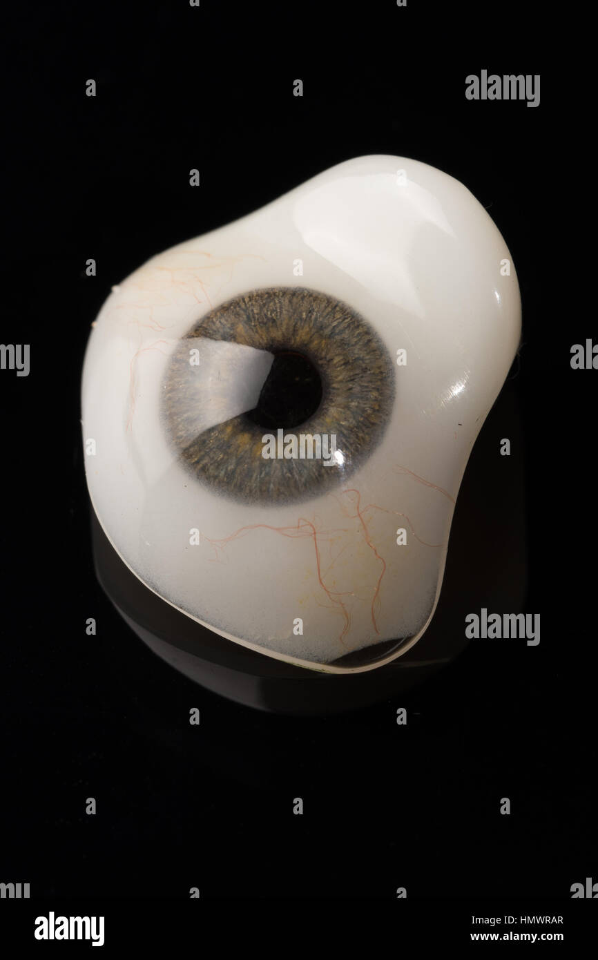 Glass eye prosthetic or Ocular prosthesis with reflection on black
