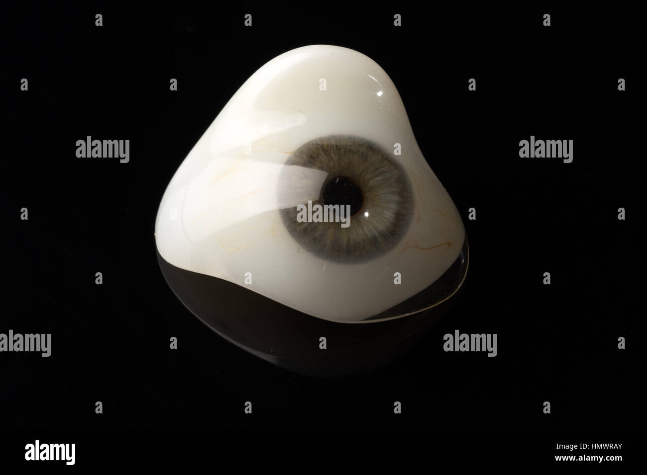 Glass eye prosthetic or Ocular prosthesis with reflection on black Stock Photo Alamy