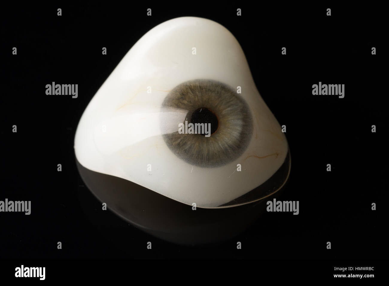 Custom Made Prosthetic Eye