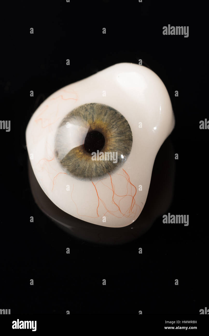Glass eye prosthetic or Ocular prosthesis on black Stock Photo