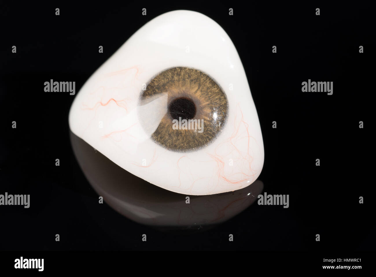 Glass eye prosthetic or Ocular prosthesis on black Stock Photo