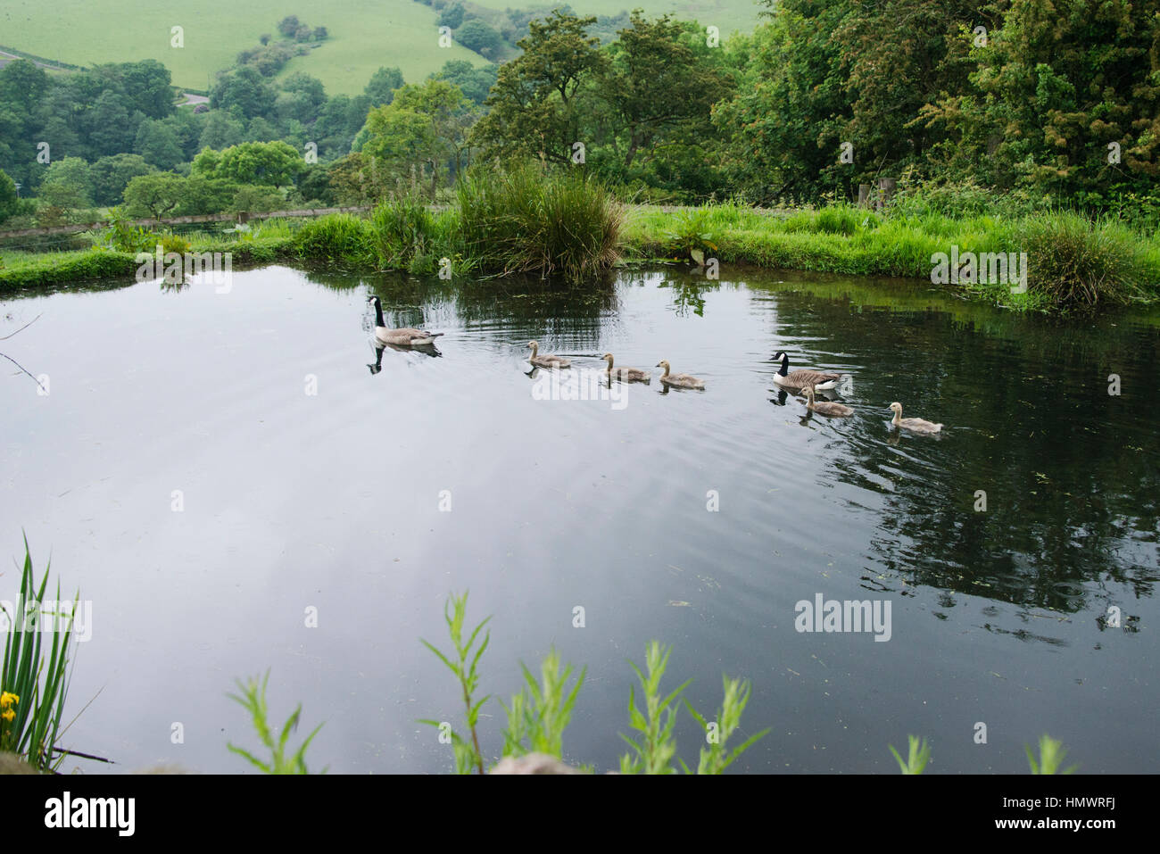 Family Vacation Captions For Facebook