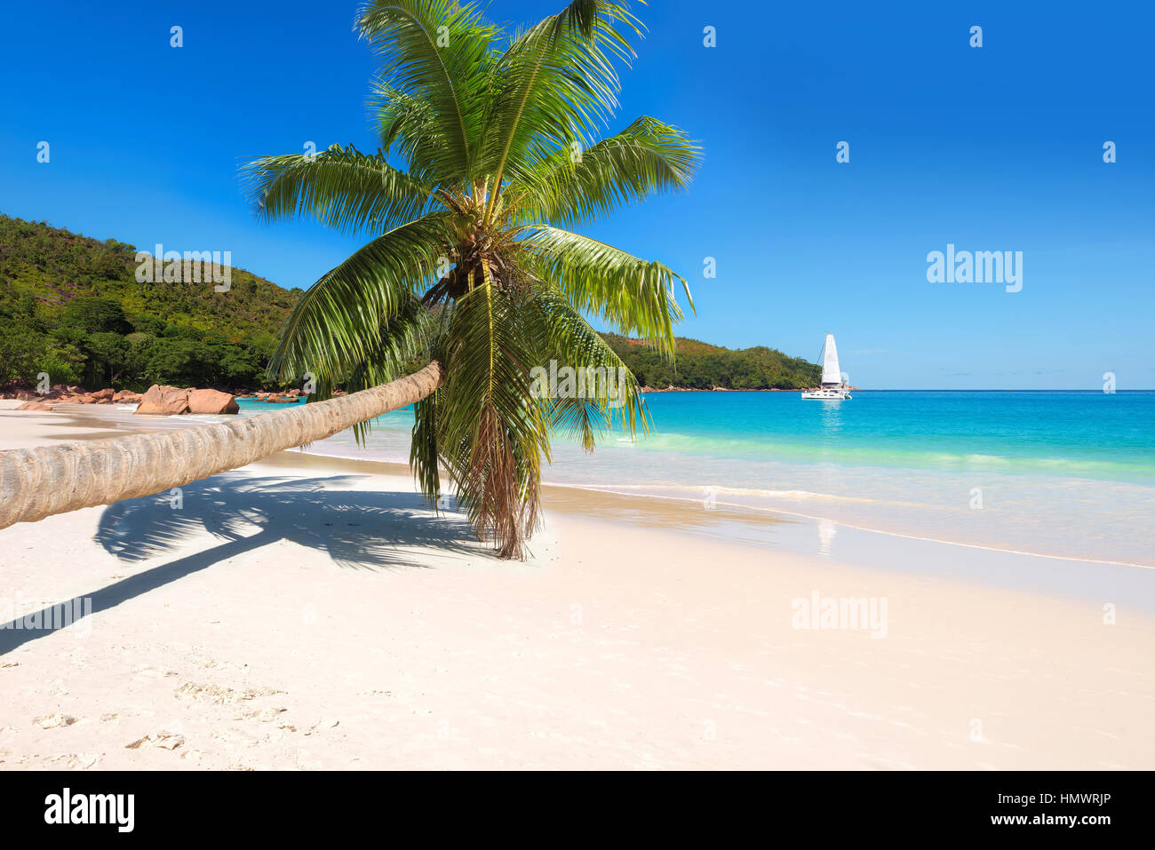 Beach palm tree tropical hi-res stock photography and images - Alamy