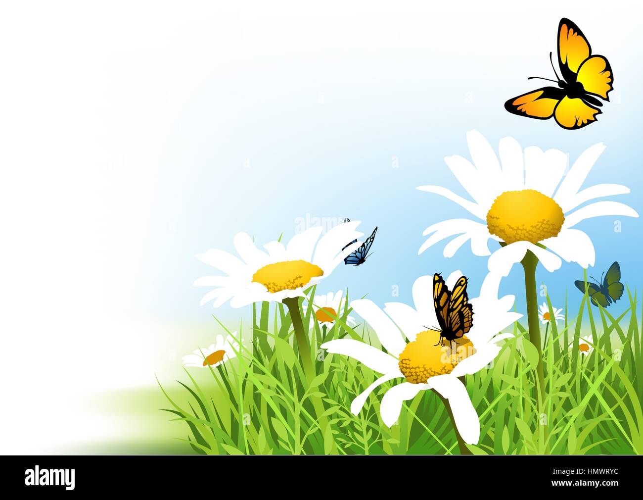 Butterflies And Daisy Background Stock Vector Image & Art - Alamy