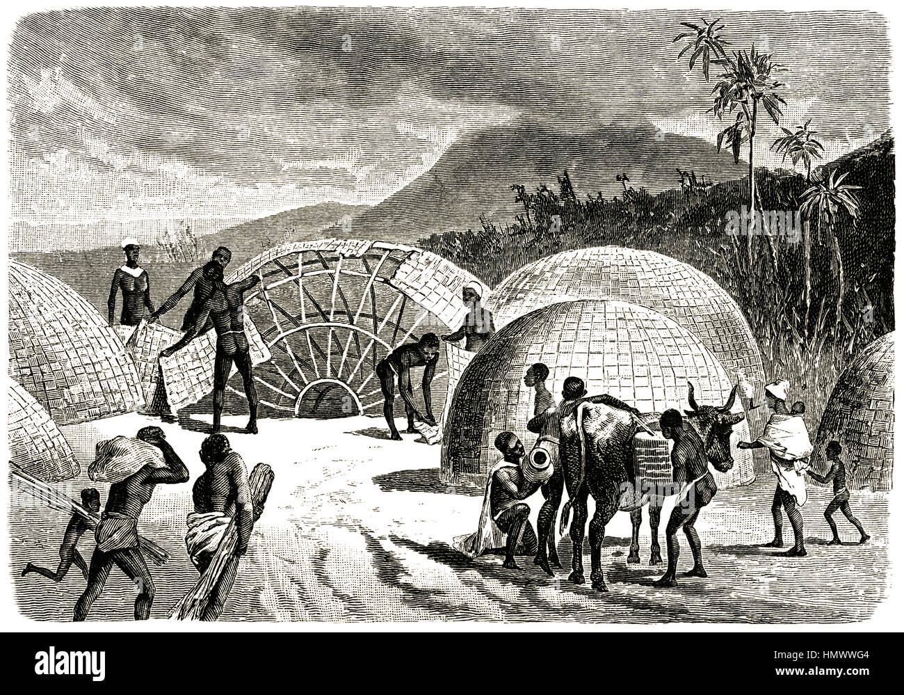 Khoikhoi People Building Huts, Southern Africa, Illustration from the