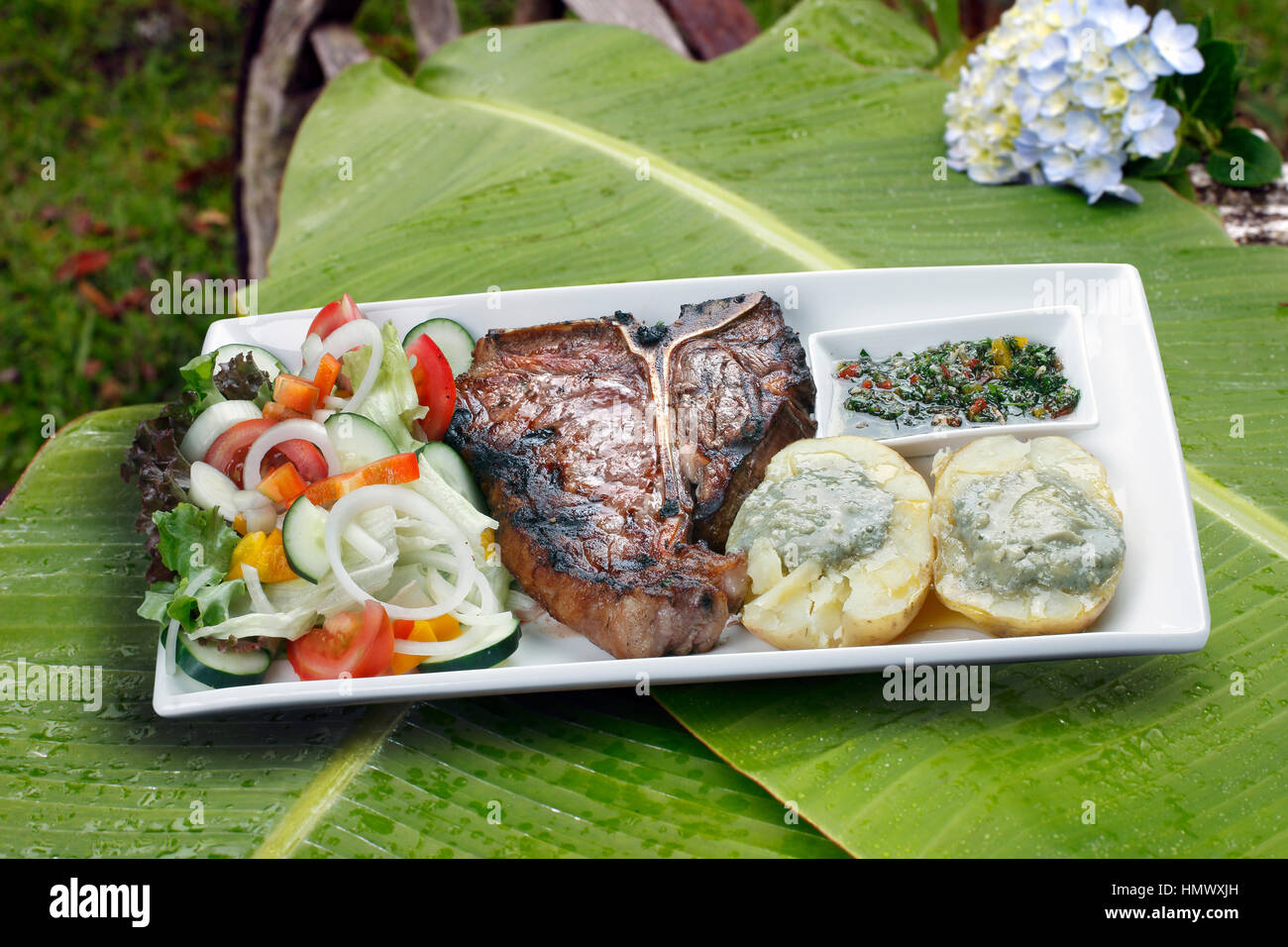 t bone steak with potato salad and vegetables Stock Photo