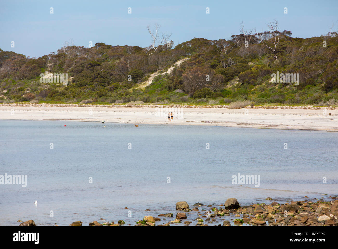 Emu Bay on Kangaroo island in South Australia Stock Photo Alamy