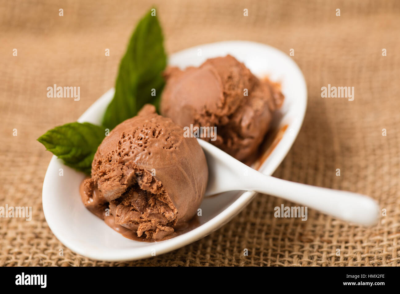 Two homemade chocolate ice cream balls with mint in bowl Stock Photo