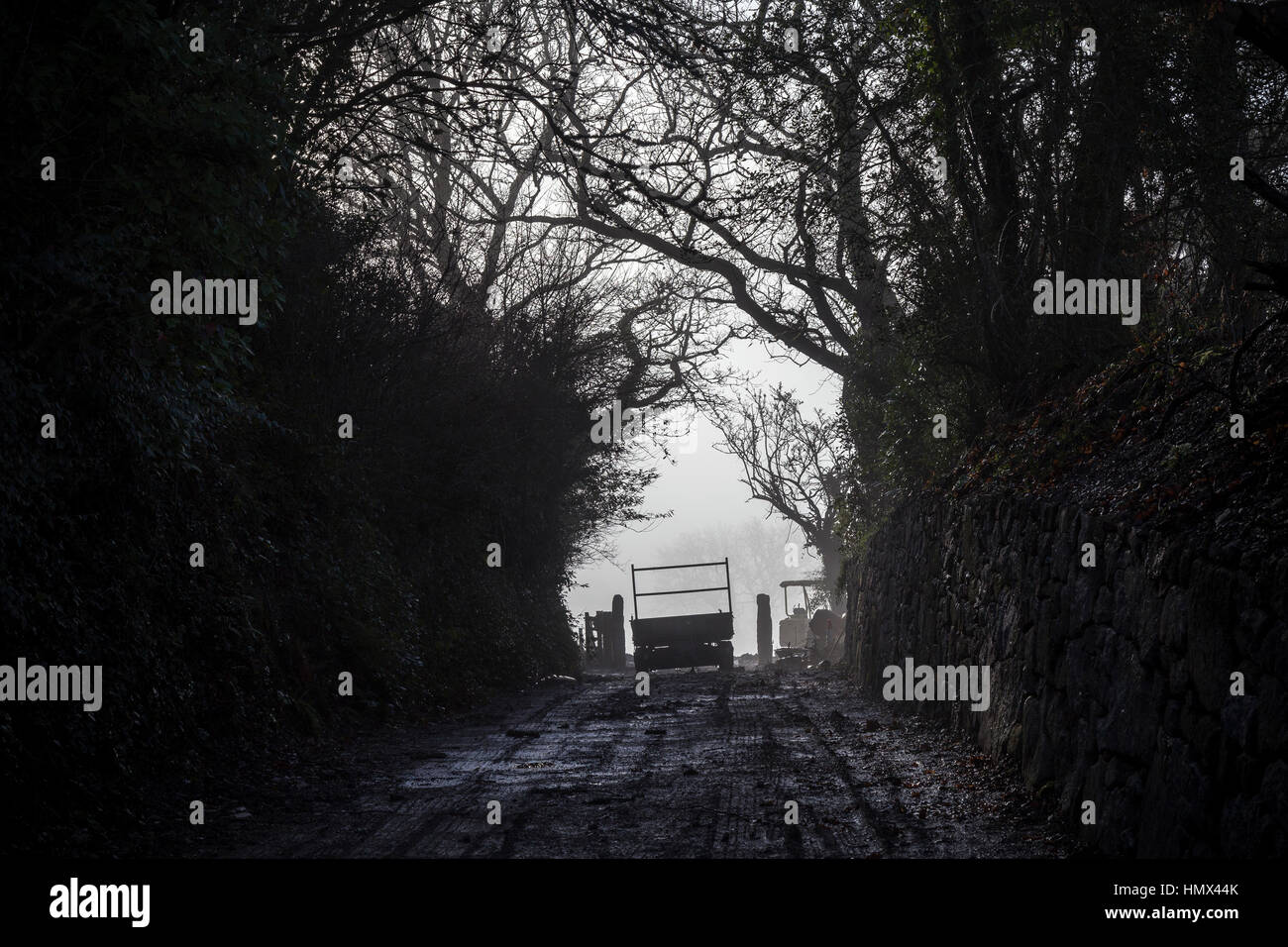 Lane Dunsford Teign Valley Stock Photo Alamy