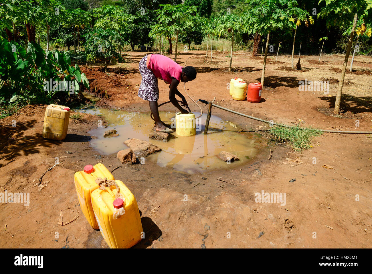 KENYA, Mount Kenya East, Mitunguu, village Karima Kaathi, water supply