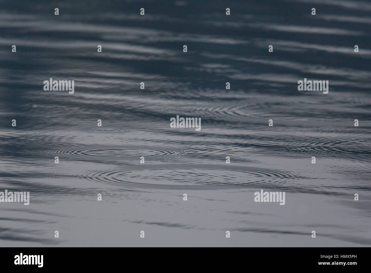 Natural rain drops and circles on a water surface Stock Photo