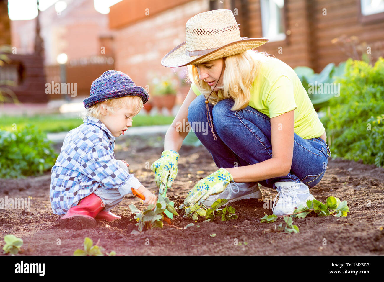 Child and mother planting strawberry seedling into fertile soil outside in garden Stock Photo