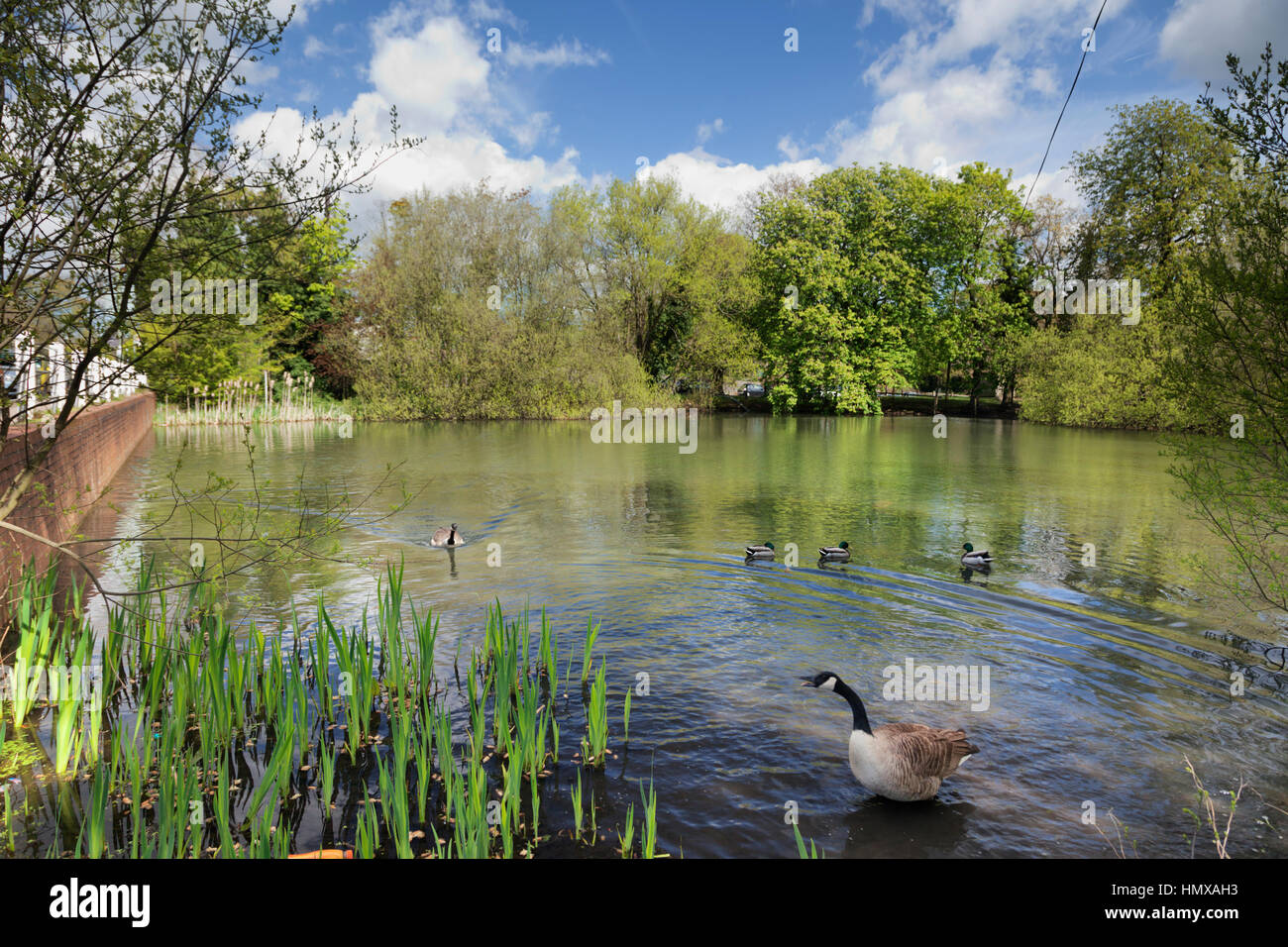 Mill hill london hires stock photography and images Alamy