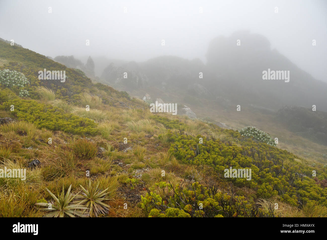 Hump Ridge in New Zealand South Island on a foggy afternoon Stock Photo