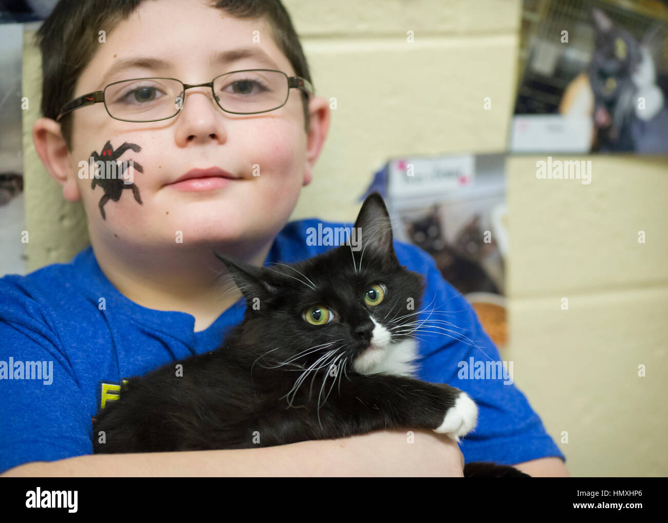 Wantagh, New York, USA. February 5, 2017.  AYDIN SHAH, 8 1/2,, of Merrick is holding SALSA, a 5 1/2 month old female kitten available for adoption at Last Hope Animal Rescue's Open House during Hallmark Channel's Kitten Bowl IV. Aydin had a black spider painted on his face during the party. Kittens in Last Hope Lions team played against kittens in North Shore Bengals team. Last Hope kittens have been part of each Kitten Bowl, whose purpose is to promote cat and kitten adoptions. Credit: Ann E Parry/Alamy Live News Stock Photo