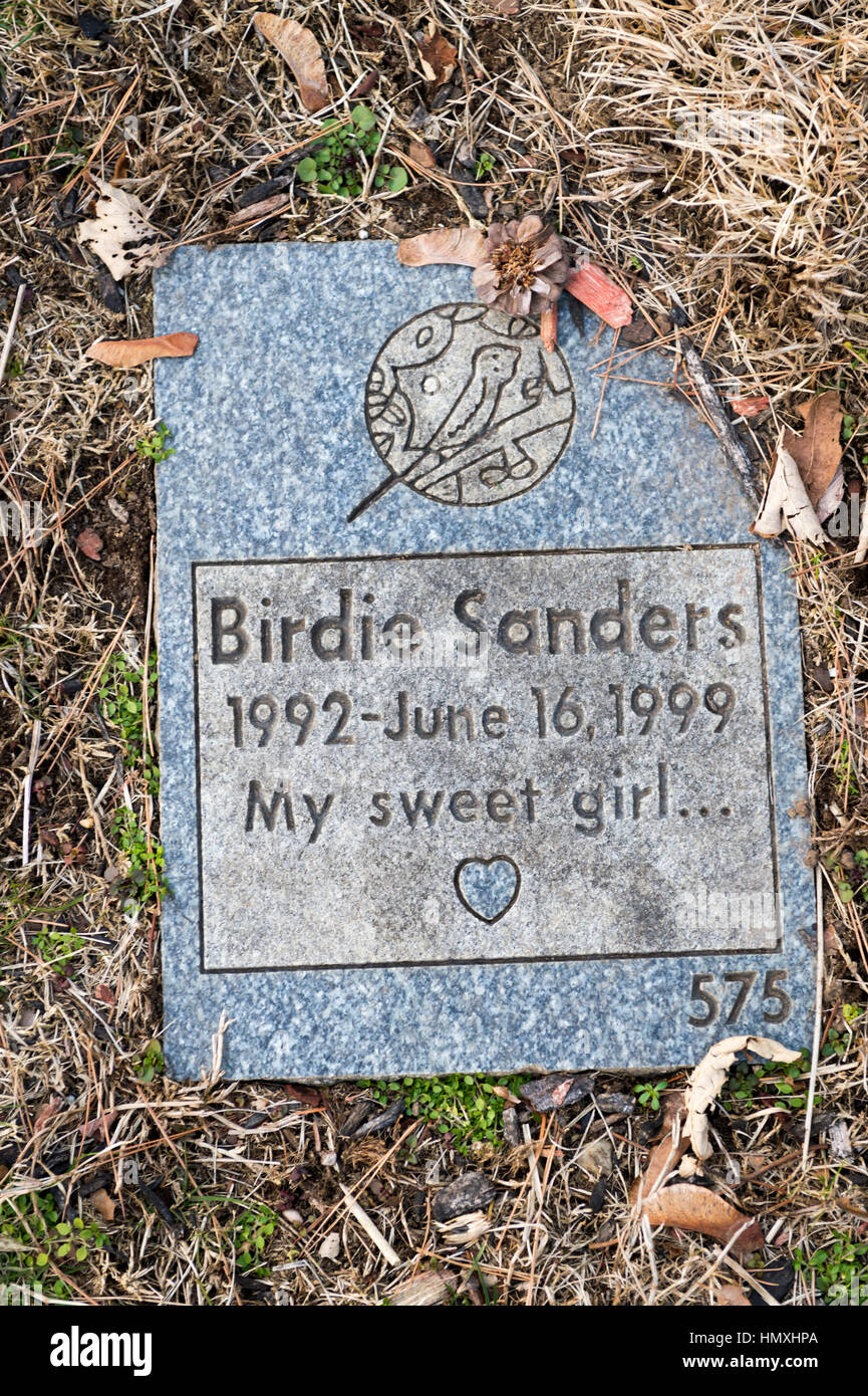 Wantagh, New York, USA. February 5, 2017.  Blue and gray granite tombstone for pet bird BIRDIE SANDERS (1992 - 1999) with epitaph 'My sweet girl...' inscription is one of hundreds of gravestones in Bide-a-Wee Pet Memorial Park cemetery outside the Last Hope Animal Rescue building on Long Island. Credit: Ann E Parry/Alamy Live News Stock Photo