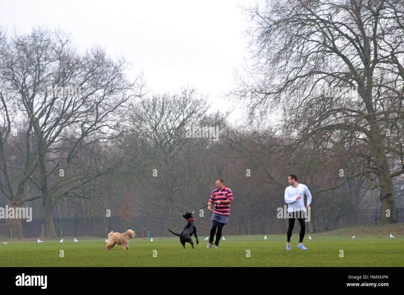 London, UK. 07th Feb, 2017. Misty morning on Wandsworth Common. Credit: JOHNNY ARMSTEAD/Alamy Live News Stock Photo