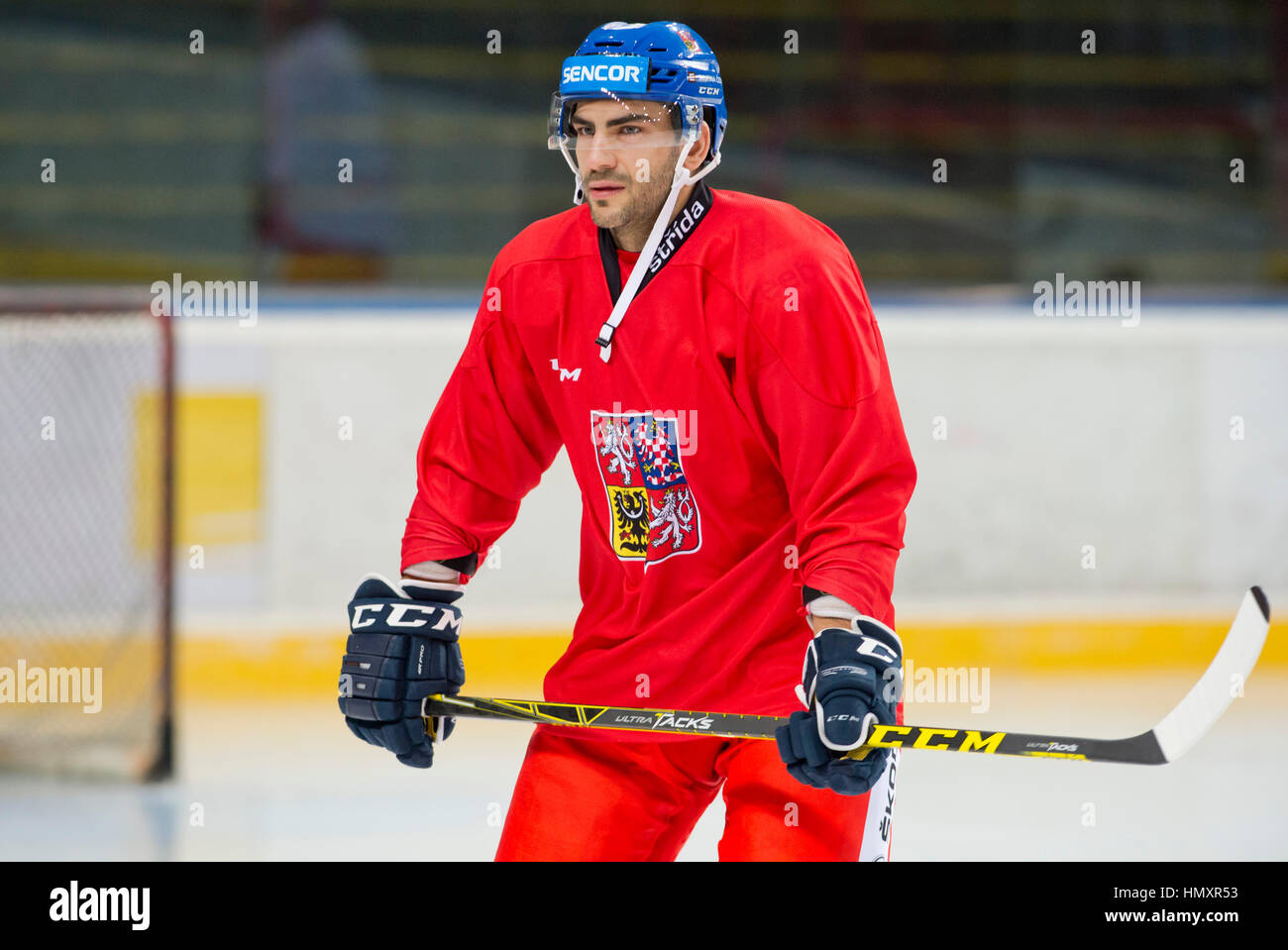 Prague, Czech Republic. 07th Feb, 2017. The Czech national ice-hockey team's player Petr Jelinek in action during the training session prior to the February Sweden Games in Gothenburg in Prague, Czech Republic, February 7, 2017. Sweden Games, the third part of the European Hockey Tour (EHT) series, will take place on February 9-12. Credit: Vit Simanek/CTK Photo/Alamy Live News Stock Photo