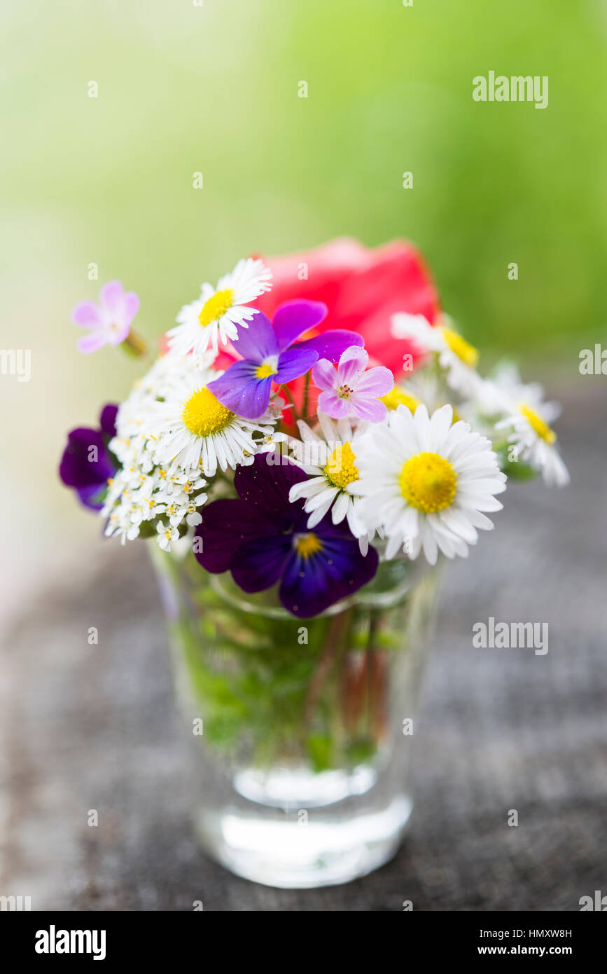 Closeup of colourful garden flowers in a glass on old wooden tree trunk with copy-space. Selective focus Stock Photo